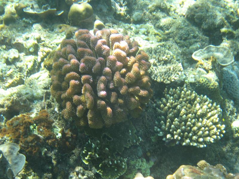 trip_bali 227 